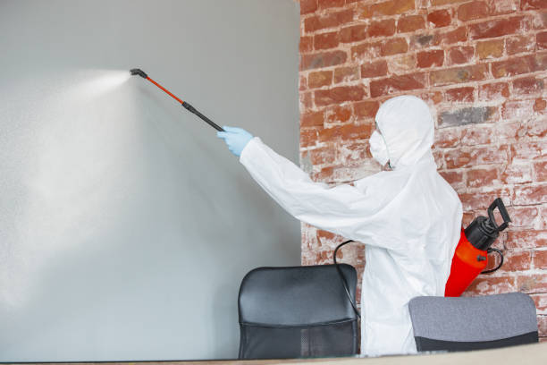 Best Post-Remediation Verification Testing  in Old River Winfree, TX