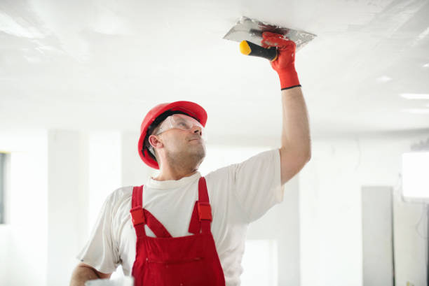 Best Emergency Mold Remediation  in Old River Winfree, TX