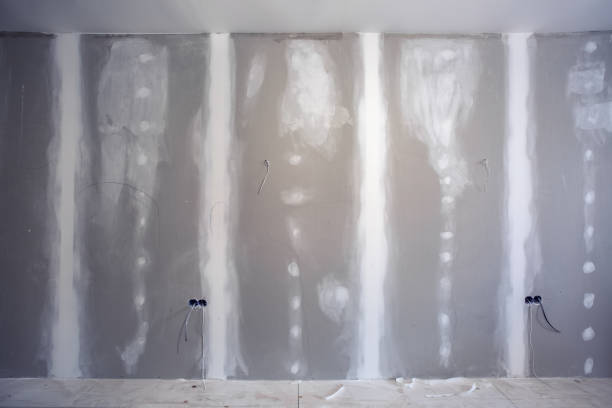 Best Mold Damage Restoration  in Old River Winfree, TX
