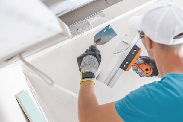 Best Mold Remediation for Healthcare Facilities  in Old River Winfree, TX
